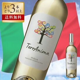 ワイン よりどり 3本 リヴェラ / テッラニーマ ビアンコ 度数 12% 750ml 白ワイン ミディアムボディ 辛口 プーリア ボンビーノ ビアンコ パンパヌート シャルドネ IGP イタリア ワイン 白 イタリアワイン 酒 ソムリエ ギフト プレゼント 高級ワイン 高級酒