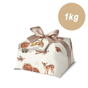 C\ Loison C plbg[l E A}bg 1kg 21.5cm TCY NX}X P[L [Y IWs[ C^A  َq mَq XC[c  Mtg v[g 蕨 