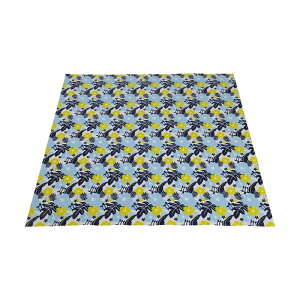 CAPTAIN STAG �v�[���}�b�g180×180cm �z�k UB-3052 �L���v�e���X�^�b�O