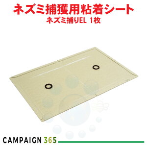 lY~ SV[g ƖplY~߂ Ɩp lY~߂ EL 1 S gbv ˂ ߊl 쏜 h y䂤pPbgΉz