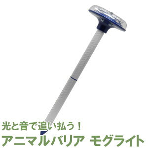 Qb΍ Aj}oA OCg O ΍ VJ CmVV  lY~ ΍ _앨 Q CeWp