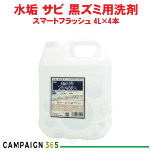 Ɩp gC X}[gtbV 4L×4{ ^C gC̏ ֊̐