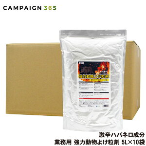 CmVV VJ悯 ͓悯 5L×10 Ɩp  悯 ΍ 悯΍ h nol   CmVV    ACO} nNrV Qb