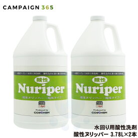 コスケム 酸性ヌリッパー 3.78L×2本 お風呂 トイレ用洗剤