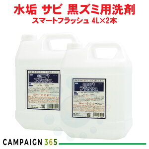 Ɩp gC X}[gtbV 4L×2{ ^C gC̏ ֊̐