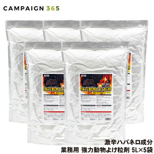 CmVV VJ悯 ͓悯 5L×5 Ɩp  悯 ΍ 悯΍ h nol   CmVV    ACO} nNrV Qb