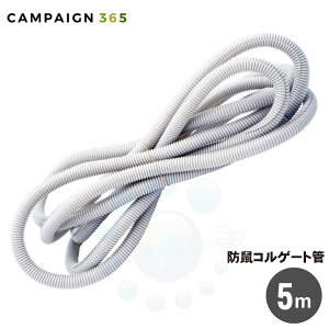 ˂ݑ΍ hlRQ[g 5m zJo[ lY~zی