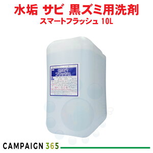 Ɩp gC X}[gtbV 10L ^C gC̏ ֊̐