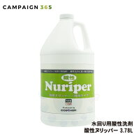 コスケム 酸性ヌリッパー 3.78L お風呂 トイレ用洗剤 水垢 石鹸カス シンク 浴室 プール