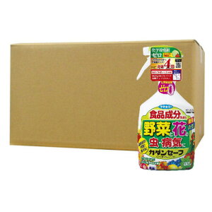 J_Z[t 1000ml×12 t}L[ E E Xv[  