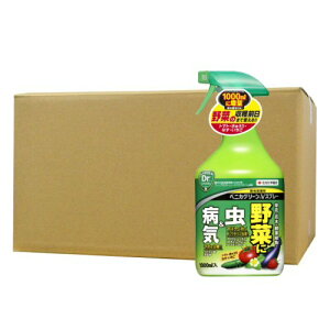 EEۍ xjJO[VXv[ 1000ml×15{  Q aC AuV n_j h ZFw|
