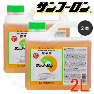  Tt[ t 2L×2{ _ OzT[g G NY XMi TT tW | ͂炷