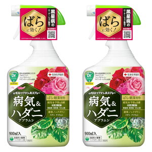EEۍ GFXgbvWRXv[ 900ml×2{ _ AuV n_j a ǂ񂱕a a ZFw|