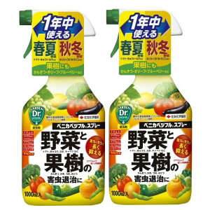 E xjJxWtXv[ 1000ml×2{  ϗt  ʎ Q AuV ZFw|