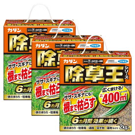 除草剤 フマキラー カダン 除草王 オールキラー粒剤 2kg×3個 顆粒 粒状 農薬 180日効果 持続型除草剤 除草剤顆粒