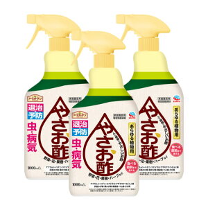 A[XK[f ₳| 1000ml×3{ |p|  n[u ʎ  H|