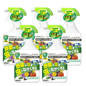 EEۍ Xs gbvWMXv[1000ml×5{ AuV RiW~ ǂ񂱕a a KINCHO|