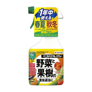 E xjJxWtXv[ 420ml _  ϗt  ʎ Q AuV KINCHO|