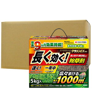  NTmEX 5kg×4 XMi XXL uKV G ZFw|