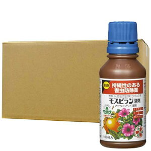 E Xst ̂Qh 100ml×10{ KINCHO|