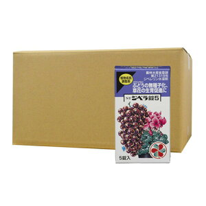 A STWx5 5×10 KINCHO|