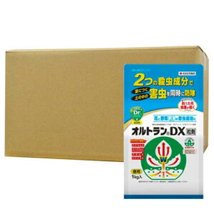 E IgDX 1kg×12 ZFw|