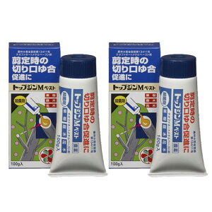 Eۍ gbvWM y[Xg 100g×2{ Ԗ  ʎ \h  ZFw|