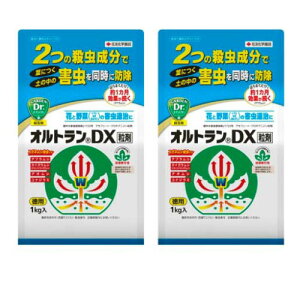 E IgDX 1kg×2 KINCHO|