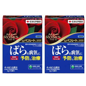 殺菌剤 GFベンレート水和剤 (2g×6)×2本 KINCHO園芸