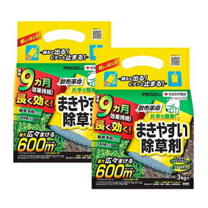  NTmEX 3kg×2 XMi XXL uKV G KINCHO|