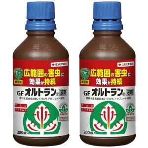 E GFIgt 300ml×2{ ZFw|