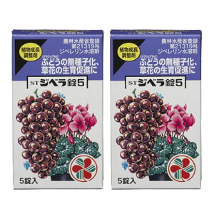 A STWx5 5×2 KINCHO|