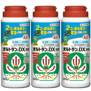 E IgDX 200g×3{ ZFw|