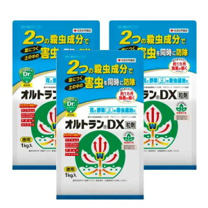 E IgDX 1kg×3 KINCHO|