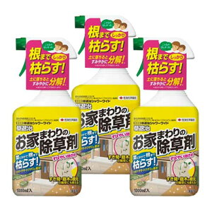  ގV[Ch 1000ml×3{ ZFw|