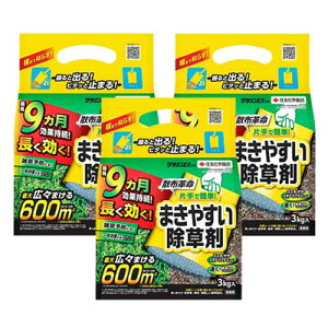  NTmEX 3kg×3 XMi XXL uKV G KINCHO|