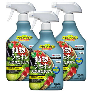 殺虫剤 パイベニカVスプレー 1000ml×3本 植物うまれ 天然成分 ピレトリン KINCHO園芸
