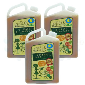 ЂAI-1 z[K[fjO 1L×3{ t yǍ tʎUz S S 