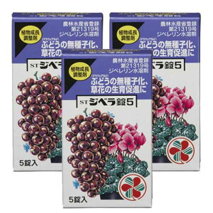A STWx5 5×3 ZFw|