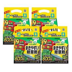  NTmEX 3kg×4 XMi XXL uKV G KINCHO|