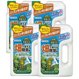 除草剤 住友化学園芸 グリーンスキットシャワー 2L×4本