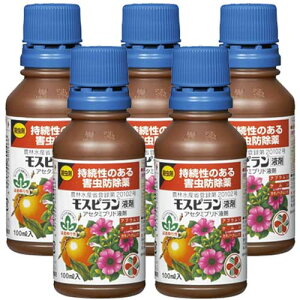 E Xst ̂Qh 100ml×5{ KINCHO|