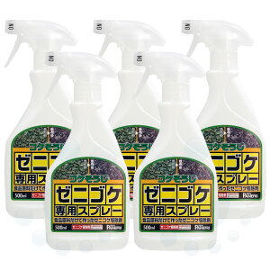 RP쏜 RP[jSPpXv[ 500ml×5{m_knpn