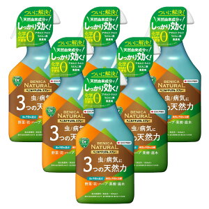 EEۍ xjJi`Xv[ 1000ml×6{ AIV ގ PV gEV ǂ񂱕a KINCHO|