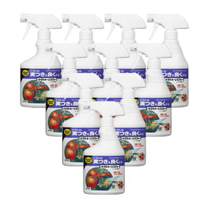 _ Yg}gg[Xv[ 420ml×10{ A KINCHO|