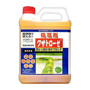  NTg[[ 5L _ G _knp j[t@