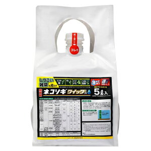  lR\M NCbNvFL 5L \[[pnp _ C{[i G΍ eiX \[[pl