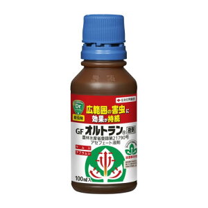 E GFIgt 100ml KINCHO|