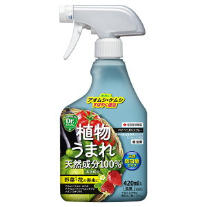 殺虫剤 パイベニカVスプレー 420ml 植物うまれ 天然成分 ピレトリン KINCHO園芸