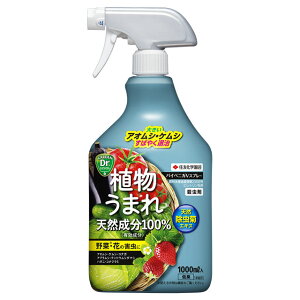殺虫剤 パイベニカVスプレー 1000ml 植物うまれ 天然成分 ピレトリン KINCHO園芸